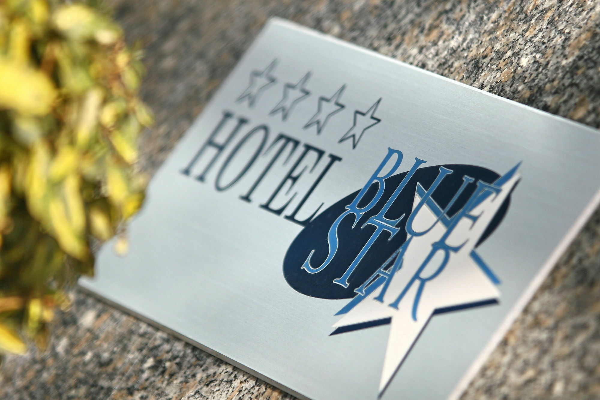 Blue Star Budva